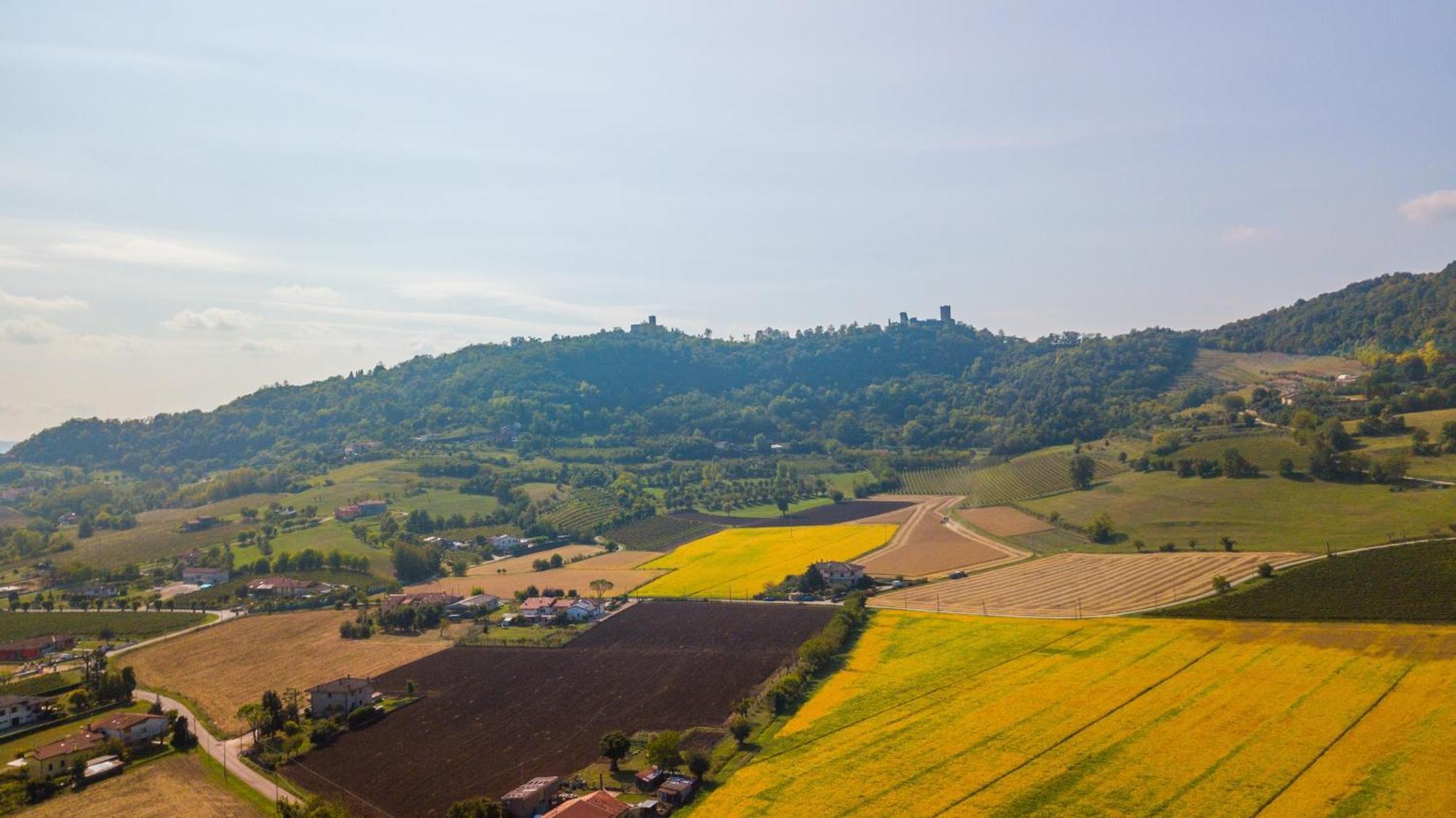 Agriturismo Riva Ratta Montecchio Maggiore Buitenkant foto